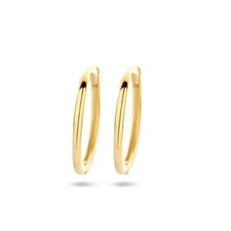 14kt gold Jennifer earrings
