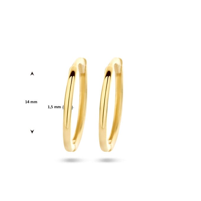 Jennifer earrings Jennifer earrings