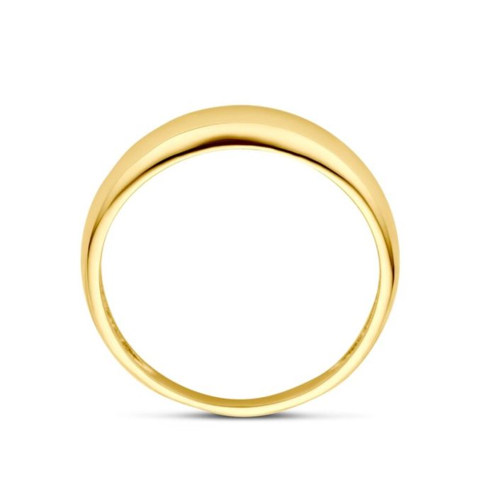 14 kt Gold Holly Ring
