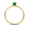 14 kt Gold Amber Ring Emerald