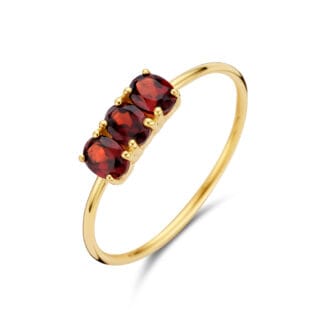 14 kt Gold Ouz Ring Garnet