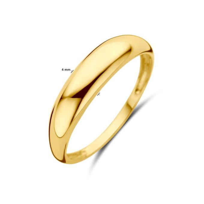 14 kt Gold Holly Ring