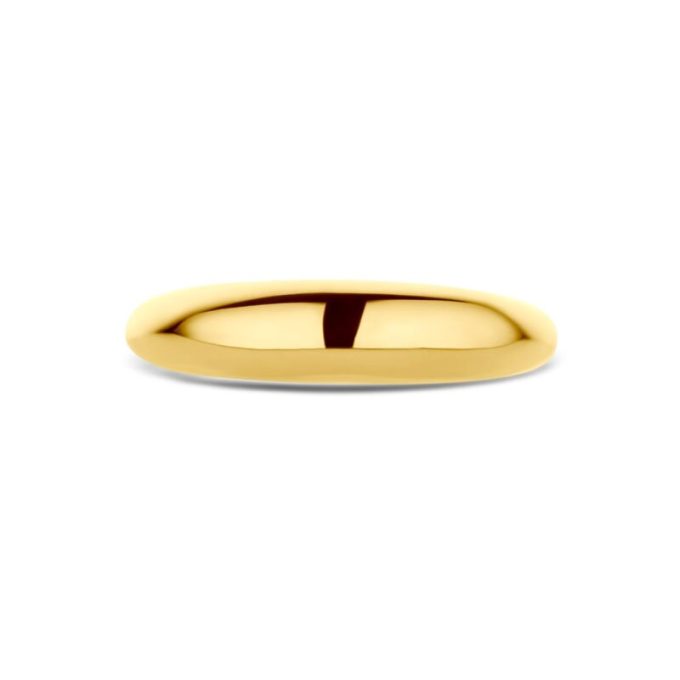 14 kt Gold Holly Ring